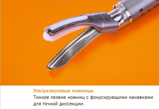 4.jpg 4.jpg